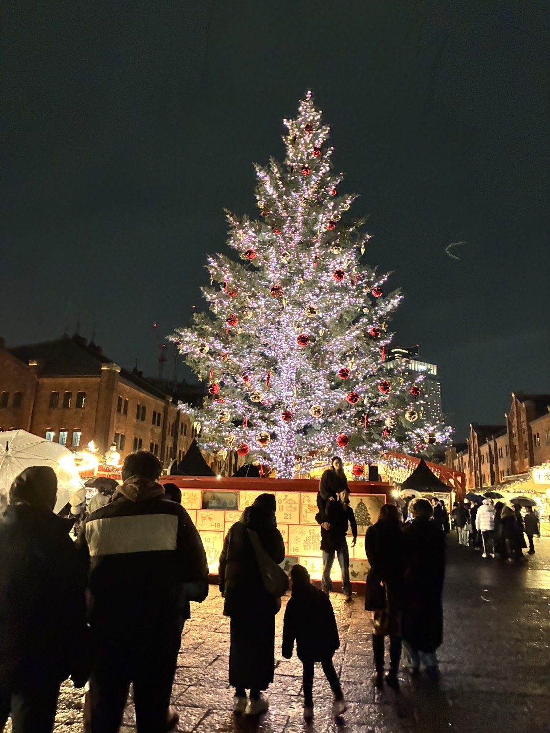 クリスマスイルミネーション
